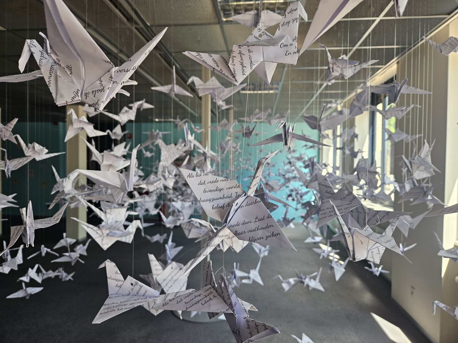 Kraanvogels in het teken van vrijheid